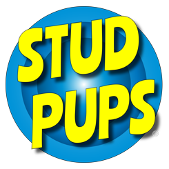 Stud Pups®