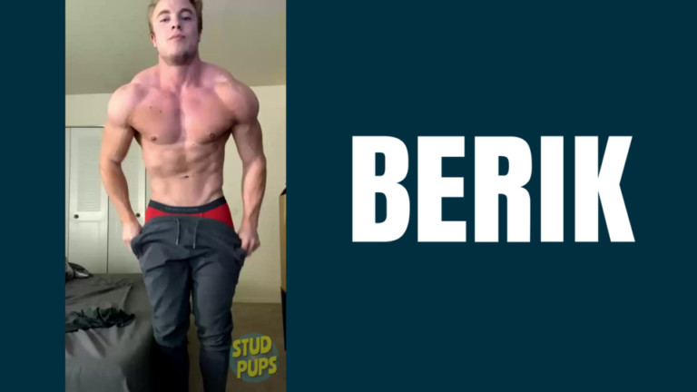 Berik At StudPups®