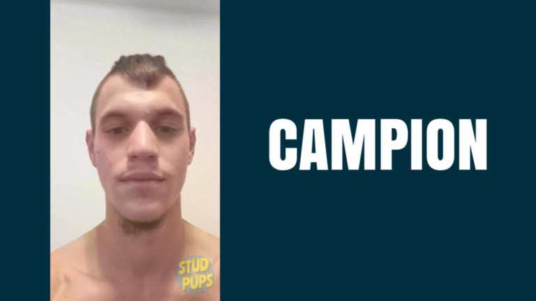 Campion At StudPups®