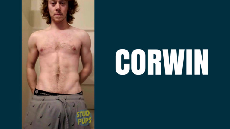 Corwin At StudPups®