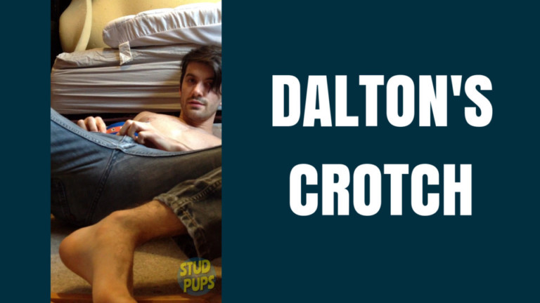 Dalton’s Crotch At StudPups®