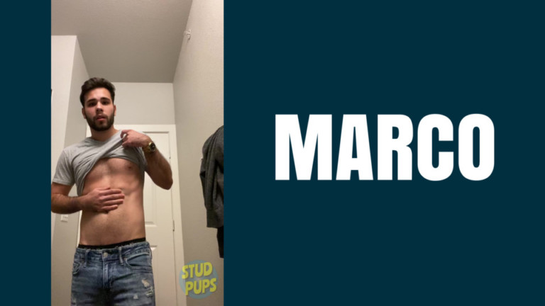 Marco At StudPups®