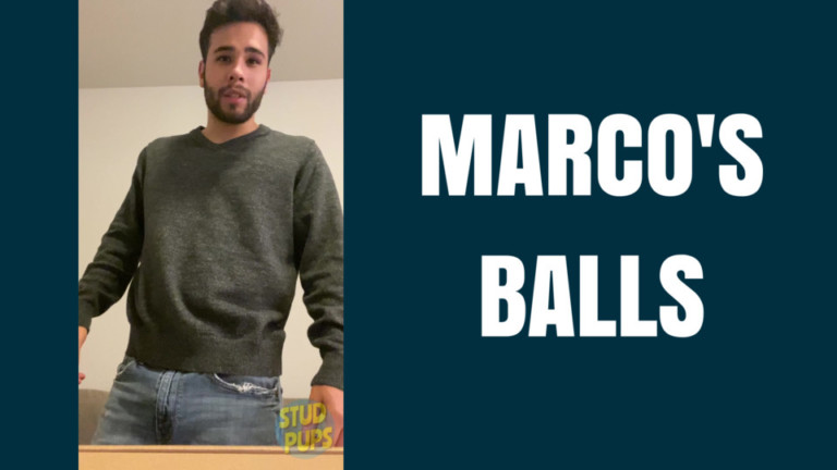 Marco’s Balls At StudPups®