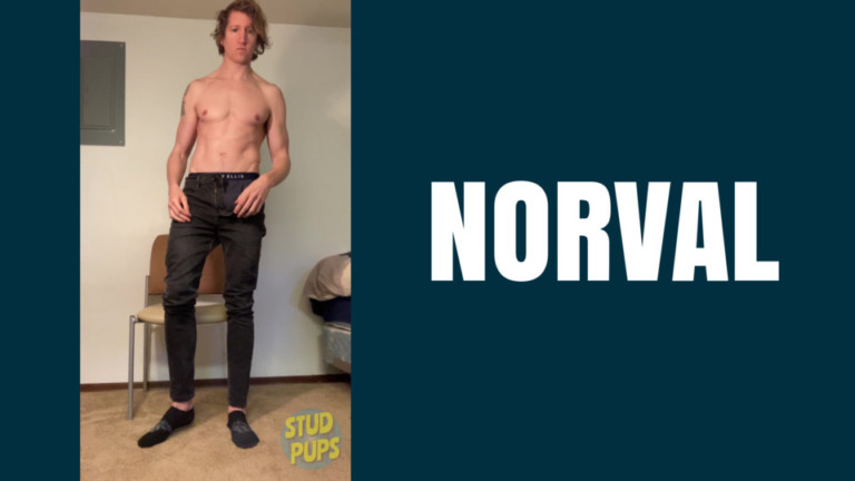 Norval At StudPups®