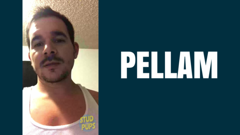 Pellam At StudPups®