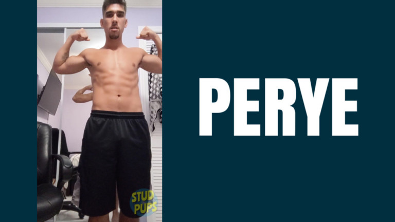 Perye At StudPups®