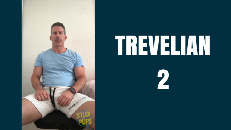 Trevelian 2 At StudPups®