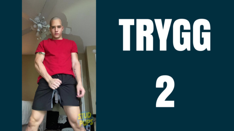 Trygg 2