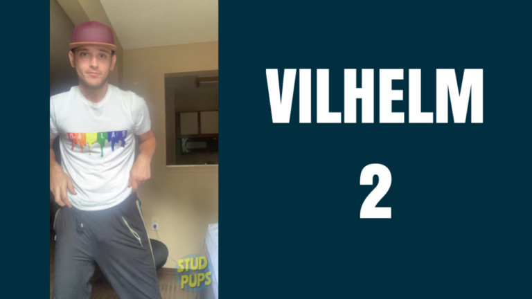 Vilhelm 2 At StudPups®